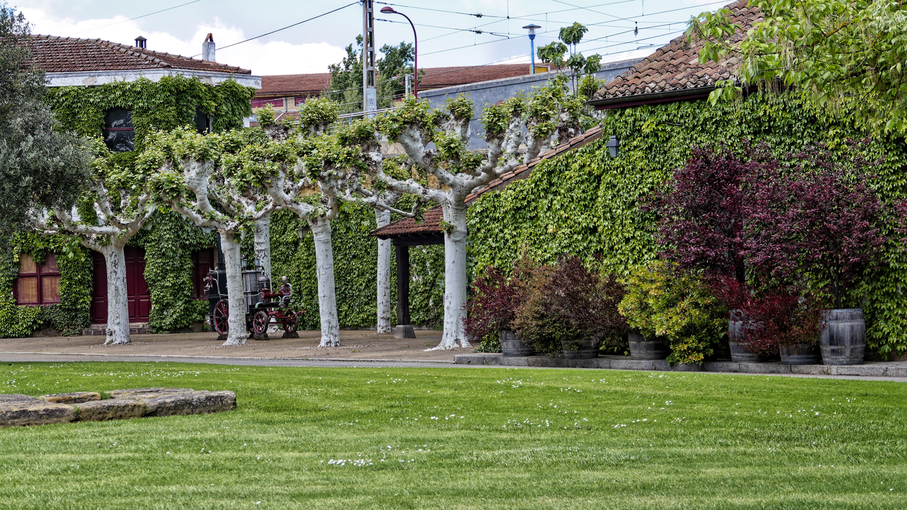 20240506 152226•Haro•La Rioja•Spain